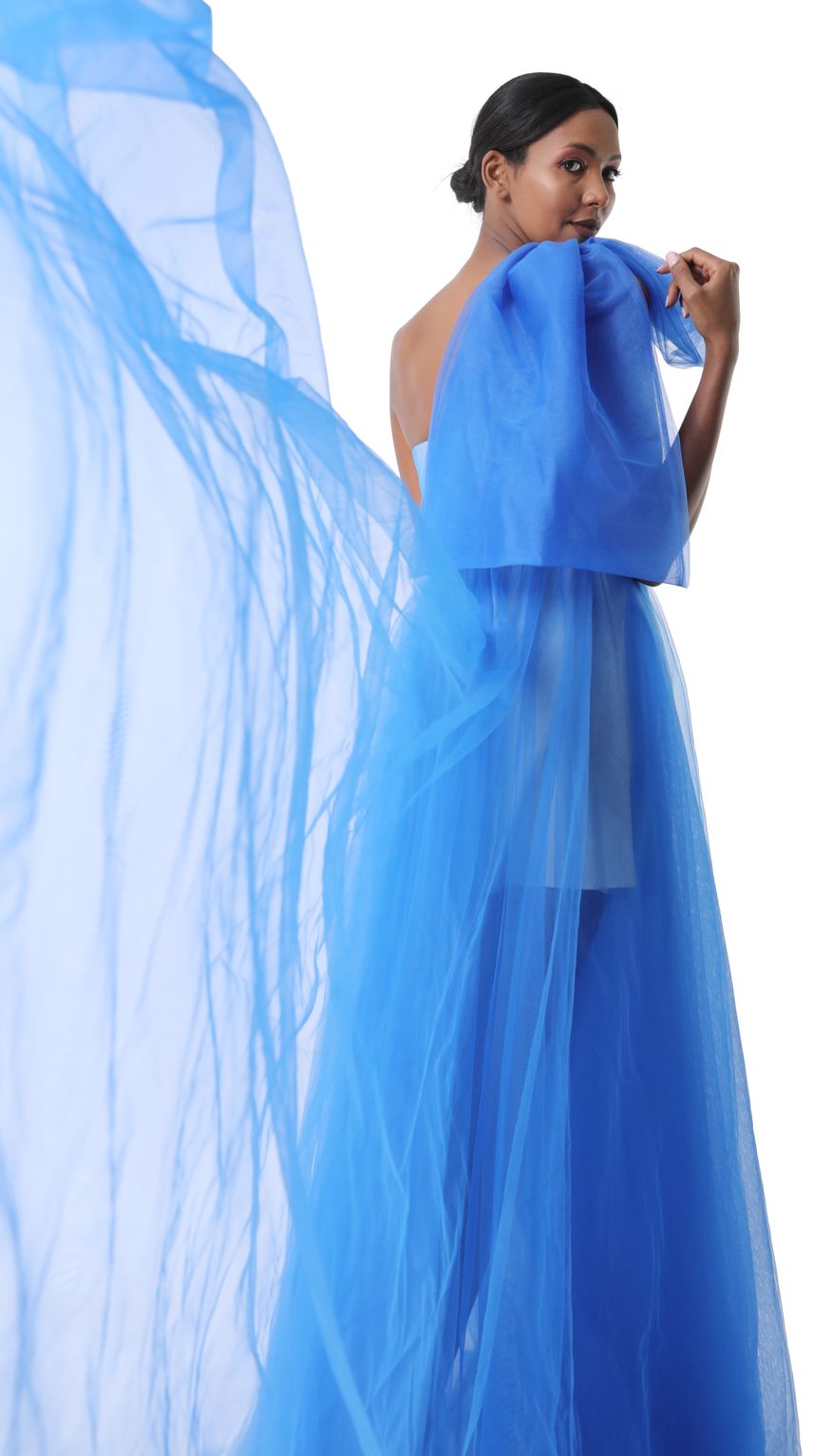 Royal Blue Belle Corset Dress by Hagop 